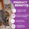 L-Lysine Supplement for Cats, Immune & Respiratory Support Liquid with Natural Ingredients, Chicken Flavor Dietary Supplement for Skin, Coat & Eye Health, 2 fl oz view 2
