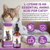 2 PCS L-Lysine Supplement for Cats, Immune & Respiratory Support Liquid with Natural Ingredients, Chicken Flavor Dietary Supplement for Skin, Coat & Eye Health, 2 fl oz view 3