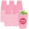100 Pack Pink Plastic Cups, 16 oz Pink Disposable Cups, pink Solo Cups Heavy Duty for Graduation Baby Shower Birthday Picnic Wedding view 1