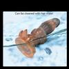 10 Heavenly Massage Wand for Deep Tissue Relief and Relaxation XD58194 view 4
