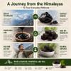 Trisundi Himalayan Shilajit Gold Gummies 3000mg | Herbal Blend with Ginseng, KSM-66 Ashwagandha, Black Musli & Gokshura | Vegan Supplement 60 Gummies (30 Day Supply) view 4