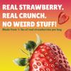 BranchOut Crunchy Strawberry Halves, 100% Fruit, Real Dried Strawberries No Added Sugar, GentleDry, Better than Freeze Dried Strawberries, Healthy Vegan Snacks, 2 oz Snack Size (Pack of 4) view 3