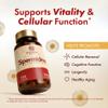 Spermidine Capsules 120 Count 10mg Serving view 2