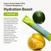 Proper Hydration Sticks Electrolyte Powder Drink Mix Packets with Trace Minerals for Rapid Hydration Naturally Flavored No Artificial Sweeteners Lemon Lime, 15 Servings view 2