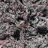 Sunflower Wellness Purple Irish Sea Moss, Wildcrafted from St. Lucia, Raw Bulk Wholesale, 5 Pounds, Natural Air-Dried Euchemia Cottonii for Food Use view 2