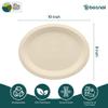 BOSNAL 10 Inch Oval Compostable Plates Bulk Box of 500 Pcs (20 Sets of 25), 100% Sugarcane Bagasse, Eco-Friendly Disposable Plates for Hot & Cold Meals, Microwave Safe, BPA-Free & Sturdy view 2