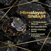 Himalayan Shilajit Gummies, Natural Energy and Focus, Non-GMO, 60 Gummies (1) view 2