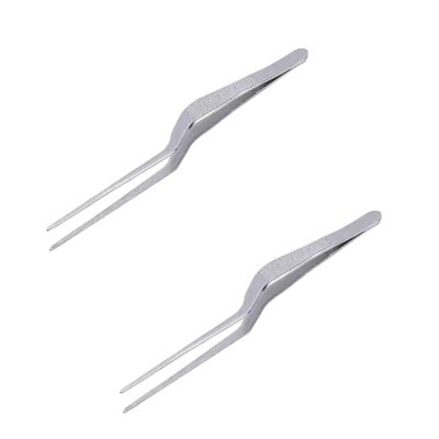 2 Piece Professional Spiral Design Stainless Steel Lighting Ear Tweezers Ear Clip Dug Earwax Tools