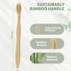 DEBETOOL 12 Pack Bamboo Toothbrushes - Natural Boar Bristle Toothbrush for Gum Health & Teeth Whitening, Wooden Organic Toothbrushes for Adults (Plastic Free) view 4