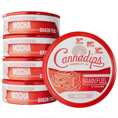 Cannadips - Mocha Energy Pouches - Nootropic Caffeine Pouches - 50mg Lion's Mane, 100mg Caffeine, 50mg L-Theanine, No Sugar - Clean Energy Brain Fuel for Cognitive Performance - Made in USA (5-Pack)