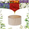 Wooden Essential Oil Perfume Diffuser for Small Rooms and Desks view 3