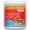 AminoLean Pre Workout Powder, Amino Energy with Vegan BCAA Amino Acids & Natural Caffeine, Preworkout Boost for Men & Women, Paradise Punch view 1