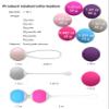 Replaceable kegel Balls, Ben wa Balls, Pelvic Floor Muscle Exercise Devices view 2