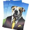 10 Pack of Funny Bulldog Greeting Cards, 5X7 Inches, Blank Inside, Kraft Envelopes, Made in USA, for think you notes, birthday cards, and thinking of you stationery set - 1093 view 1