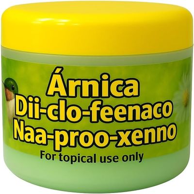 Green Arnica Gel 250g Authentic Mexican for Topical Use
