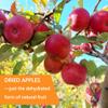 Apple Slices, Dried Apples,7.05 oz /200g,No Added Sugar, Gentle Sweet-Non-Cloying, Concentrated Apple Flavor & Nutrition, Simmer Pot Mix, Simmer Pot Potpourri, for Home Decor, Sweet Wishes, Resealable Bag view 2