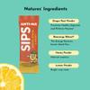 Anti-na SIPS Life, Uninterrupted - Dual-Action Nausea Relief+ Energy Support - 2000mg Premium Ginger Dissolving Mix - Ginger Chews Alternative - Natural Non-Drowsy - 30 Packets view 3