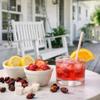 Rose Hip Iced Tea Cocktail Kit | Cocktail Mix view 4