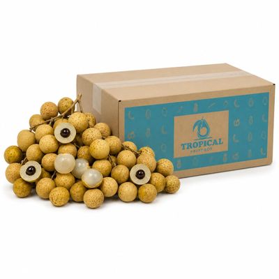 Tropical Fruit Box Fresh Longans, Dragon Eye Exotic Fruit with Sweet Translucent Flesh, Fresh for Snacking, Sharing & Fruit Platters, 3 lb