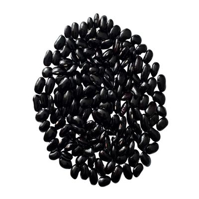 Black Ayocote Beans (Frijol Ayocote Negro), Premium Heirloom Whole Dried, Bulk 15 lb Product of Mexico.