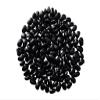 Black Ayocote Beans (Frijol Ayocote Negro), Premium Heirloom Whole Dried, Bulk 15 lb Product of Mexico. view 1