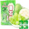 Chinese guava candy, orange and plum classic series hard candy, assorted flavor gift pack, instant fruit candies, healthy preserved fruits, mixed flavor sweet sugar, gummies (500g,Guava sugar) view 1