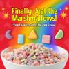 Snackathon Dehydrated Cereal Marshmallows, Assorted Rainbow Mini Bits, 8 OZ Resealable Bulk Bag Fun Crunchy Lucky-Style Marshmallow Topping for Hot Chocolate, Coffee, Cereal & Desserts view 2