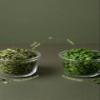 SHROOTS Dehydrated Mustard Greens (Sarson Saag) 60g (2.11oz) Air Dried Mustard Leaves Dried Sarson Saag Gluten Free, Vegan, No Preservatives For Soups, Stews, Curries & Stir Fry Camping & Emergency Food view 3