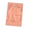 100 Sheets Acid Free Archival Tissue Paper No Acid Paper Unbuffered Interleaving Color Tissue Papers Bulk for Storing Clothes Textiles Jewelries Present Wrap(Champagne,21 * 30CM) view 1