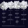 The Intelligent Health VERISOL, FORTIBONE & FORTIGEL, Patented Bioactive Collagen Peptides Powder, Bone Support Functional Blend, Grass Fed Bovine Hydrolyzed Collagen, Unflavored, 30 Servings view 3