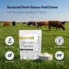 The Intelligent Health VERISOL, FORTIBONE & FORTIGEL, Patented Bioactive Collagen Peptides Powder, Bone Support Functional Blend, Grass Fed Bovine Hydrolyzed Collagen, Unflavored, 30 Servings view 4