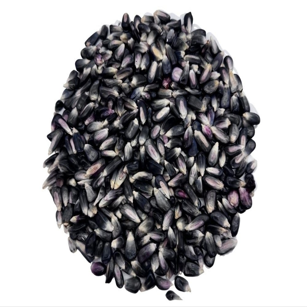 Blue Corn (Maz Azul) Dried Whole Kernels - Product of Morelos, Mexico | 5lb.