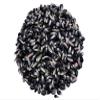 Blue Corn (Maz Azul) Dried Whole Kernels - Product of Morelos, Mexico | 5lb. view 1