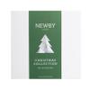 Christmas Tea Gift Box Silken Pyramids by Newby Teas view 1