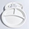 bliitt Disposable Compostable 3 Compartment Paper Plates 10 Inch 25 Pack view 1
