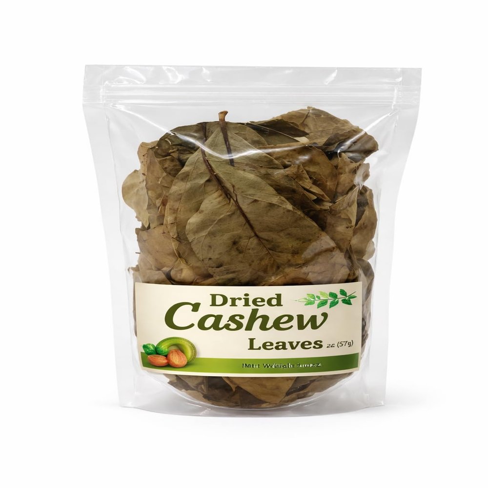 Dried Cashew Leaves 100% Natural Organic Plant Leaves Traditional Culinary & Herbal Use Carefully Dried Food Ingredient Clear Resealable Storage Bag 2oz