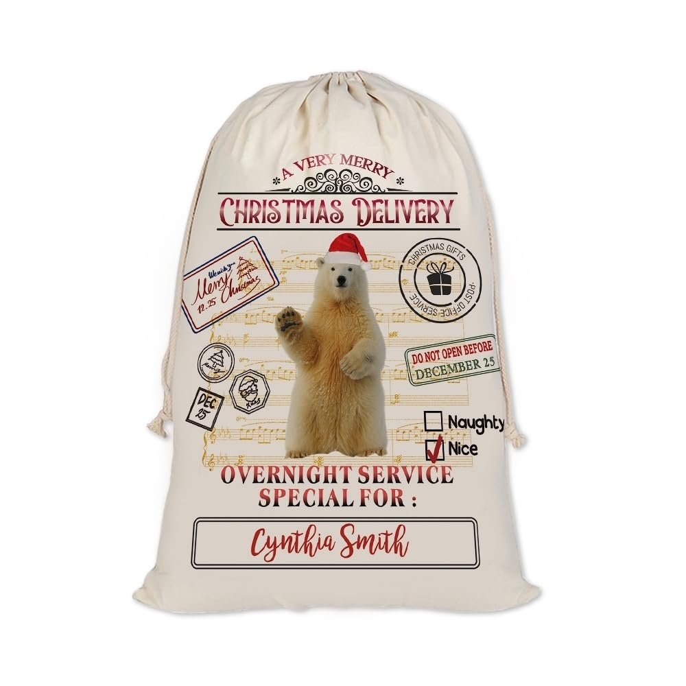 CafeTime Personalized Christmas Santa Sack with Name, Special Delivery for Polar Bear Custom Pet Name Christmas Bags Reusable Drawstring Storage Bags Style 1