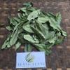Daun Pulai (Alstonia scholaris) Blackboard Tree Dried Leaves (80 gram) view 4