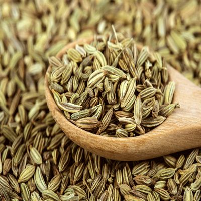 Saunf Seeds | Fennel | Foeniculum vulgare | Aromatic Culinary Spice Seeds (50gm/1.76oz)