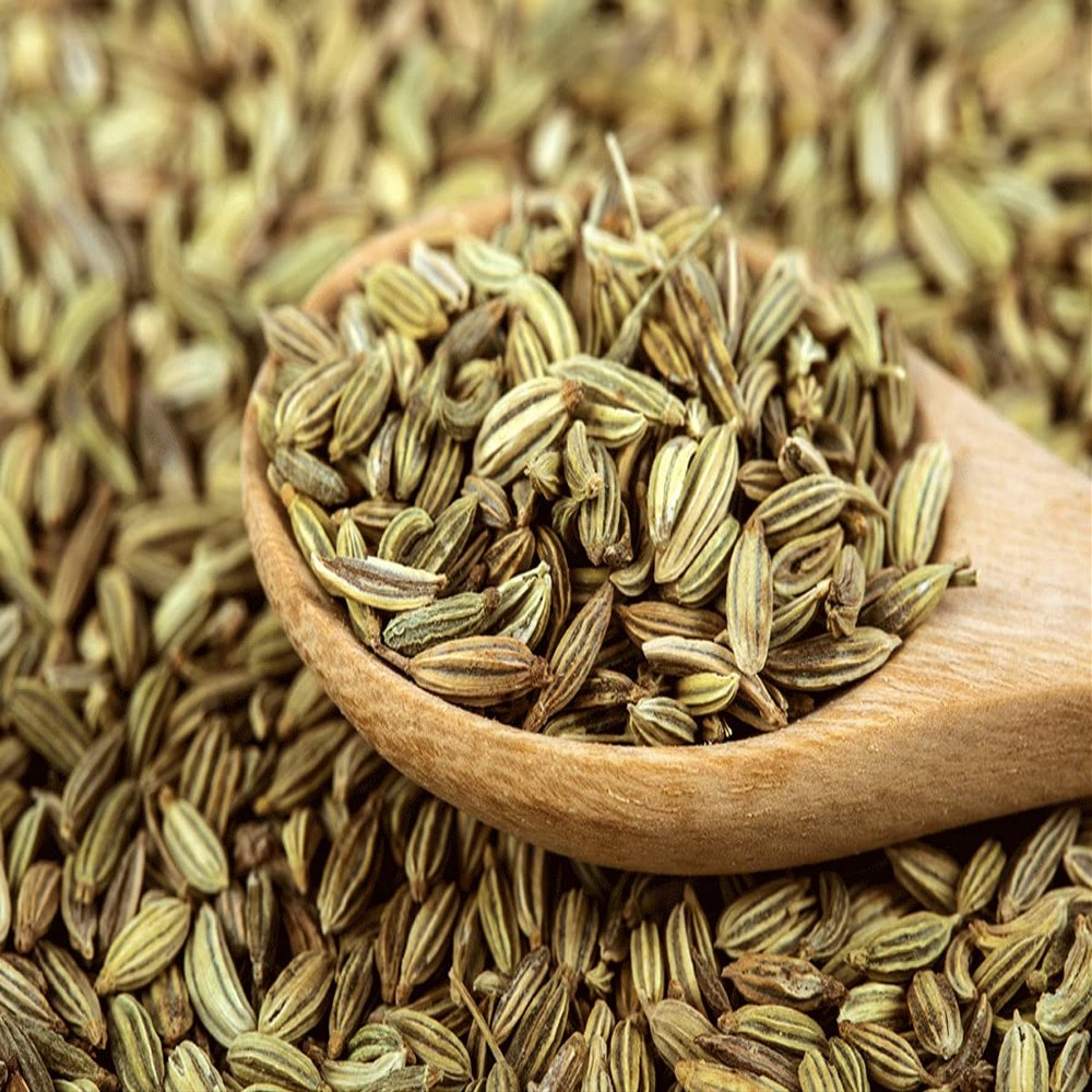Saunf Seeds | Fennel | Foeniculum vulgare | Aromatic Culinary Spice Seeds (50gm/1.76oz)