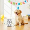 100 Pcs Paw Print Gift Bags, Paw Plastic Bags, Paw-Puppy Plastic Treat Favor Candy Goodie Bag with Handle, Paw-Print Dog Birthday Treat Bag, Pet Theme Party Supplies Decoration ( 9.8x6.5 Inches) view 3