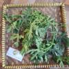 Tree Spinach (Cnidoscolus aconitifolius) Chaya Dried Leaves (200 gram) view 2