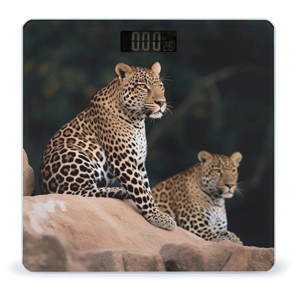 African Leopard on Rock Weight Scale Digital Electronic Scales Bathroom Scale, Larg LCD Backlight Display, High Precision Measurements,Tempered Glass