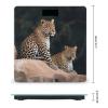 African Leopard on Rock Weight Scale Digital Electronic Scales Bathroom Scale, Larg LCD Backlight Display, High Precision Measurements,Tempered Glass view 2