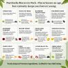 Pureleafia 12-Flavor Fruit Tea Sampler, 15g Pouches Brew 2L Each, Hot & Cold Brew Herbal Infusion, Mixed Caffeine & Caffeine-Free Blends, Low-Temp Dried Sugar-Free Tea for Family Party & Gifting (12 Count) view 2