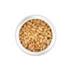 Boardwalk Snacks 15th Street Unsalted Virginia Peanuts, Healthy Snack Nuts, Non-GMO, 18oz view 2