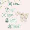 Micro Ingredients NAC with NAD+, 240 Vegetarian Capsules | 1,200 mg Per Serving | 2-in-1 N-Acetyl-L-Cysteine with Nicotinamide Adenine Dinucleotide | Non-GMO, cGMP Manufactured view 3