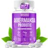 Akkermansia Probiotic with Prebiotic Chicory Inulin for Increased GLP-1 Support, Akkermansia Muciniphila Probiotic Supplement Delayed Release, Gut Health & Digestive Support USA Made (60 Capsules) view 1