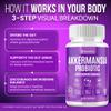Akkermansia Probiotic with Prebiotic Chicory Inulin for Increased GLP-1 Support, Akkermansia Muciniphila Probiotic Supplement Delayed Release, Gut Health & Digestive Support USA Made (60 Capsules) view 4