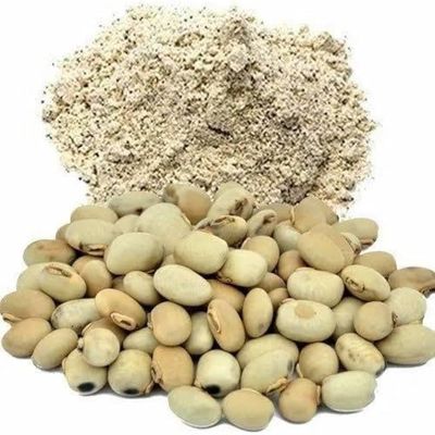 Hasyadeep Kaunch Seeds White Powder | Mucuna pruriens | Purified Kauch Beej Safed | Konch (200gm/7.05oz)